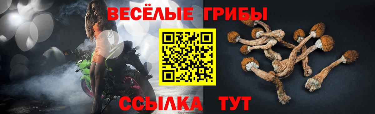 Галлюциногенные грибы мицелий Клинцы